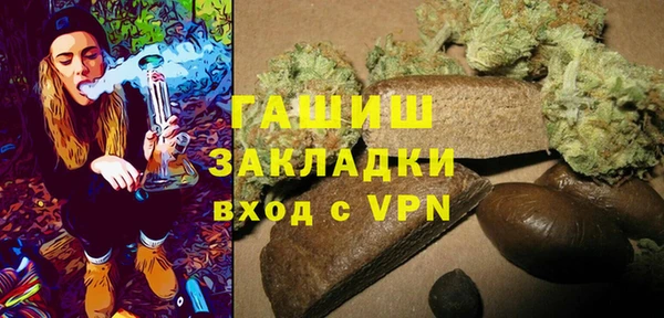 гидра Богородицк