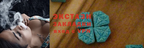 гидра Богородицк