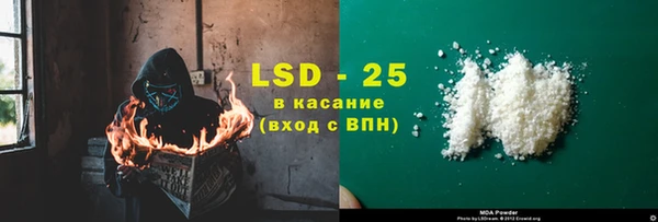гидра Богородицк