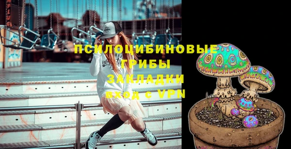 мдма Богданович