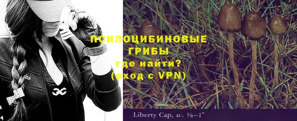 гидра Богородицк