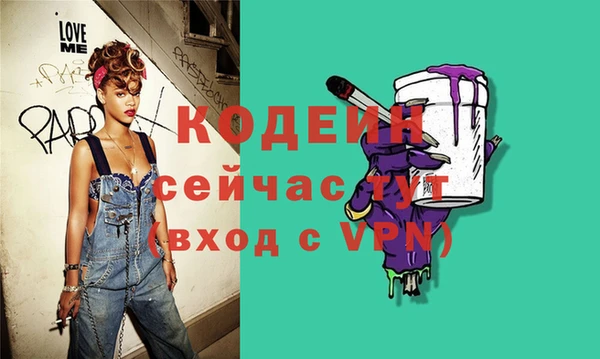 гидра Богородицк