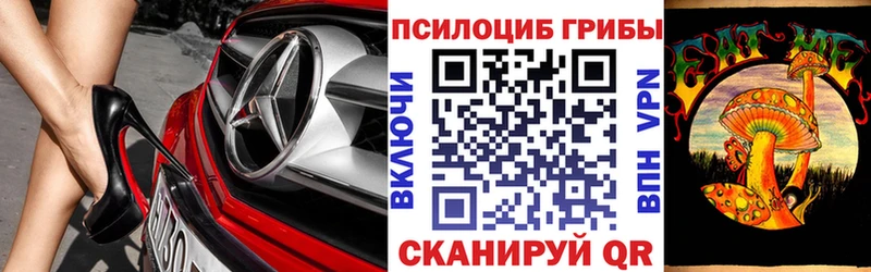 Галлюциногенные грибы Psilocybe  Купить где  Жердевка 